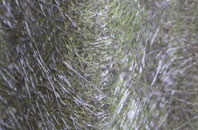 Wootton Wawen fibreglass roof work